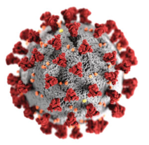 Picture of Covid virus